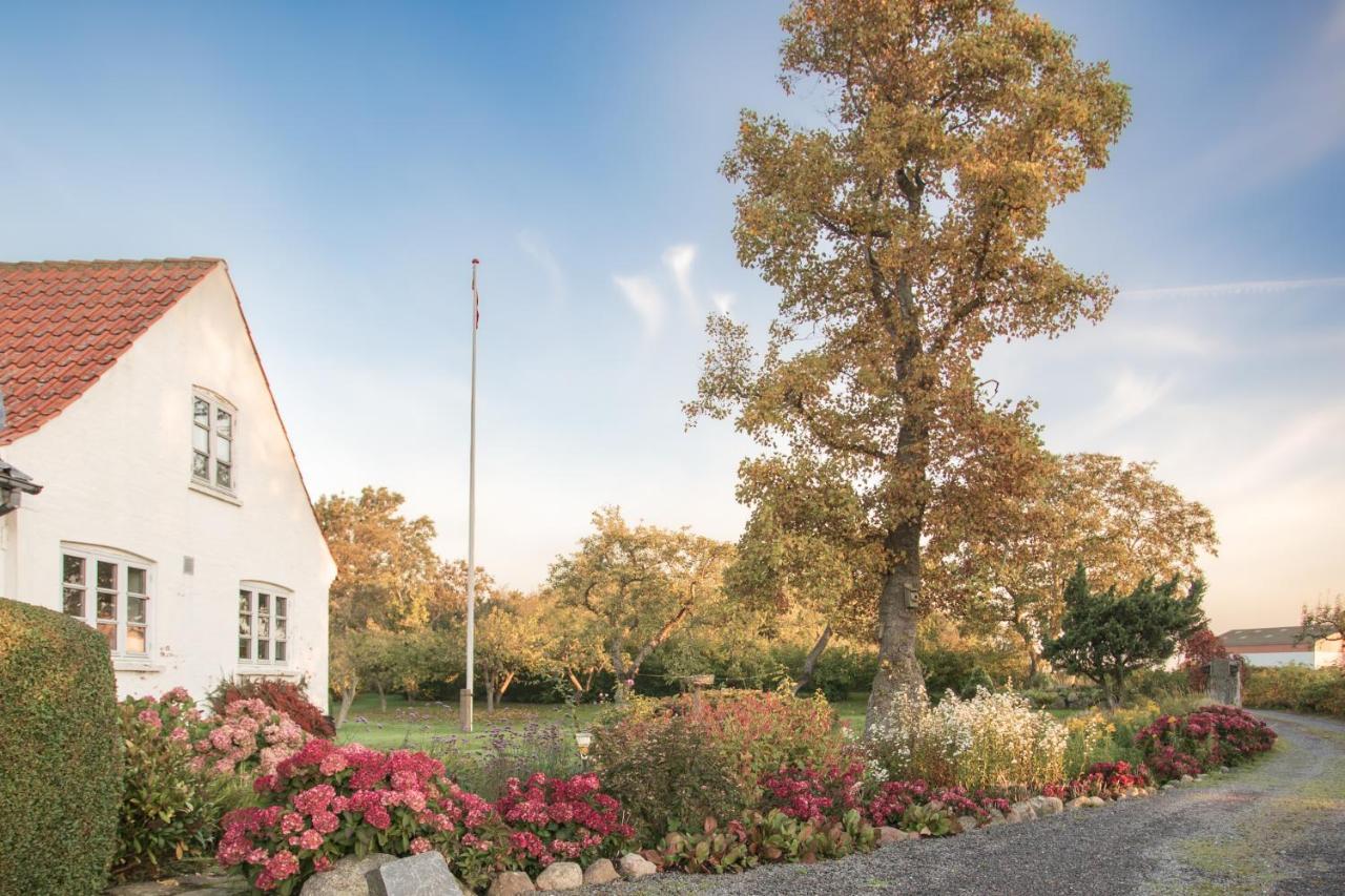 Sjaelegard Countryside Lodge 阿灵厄 外观 照片