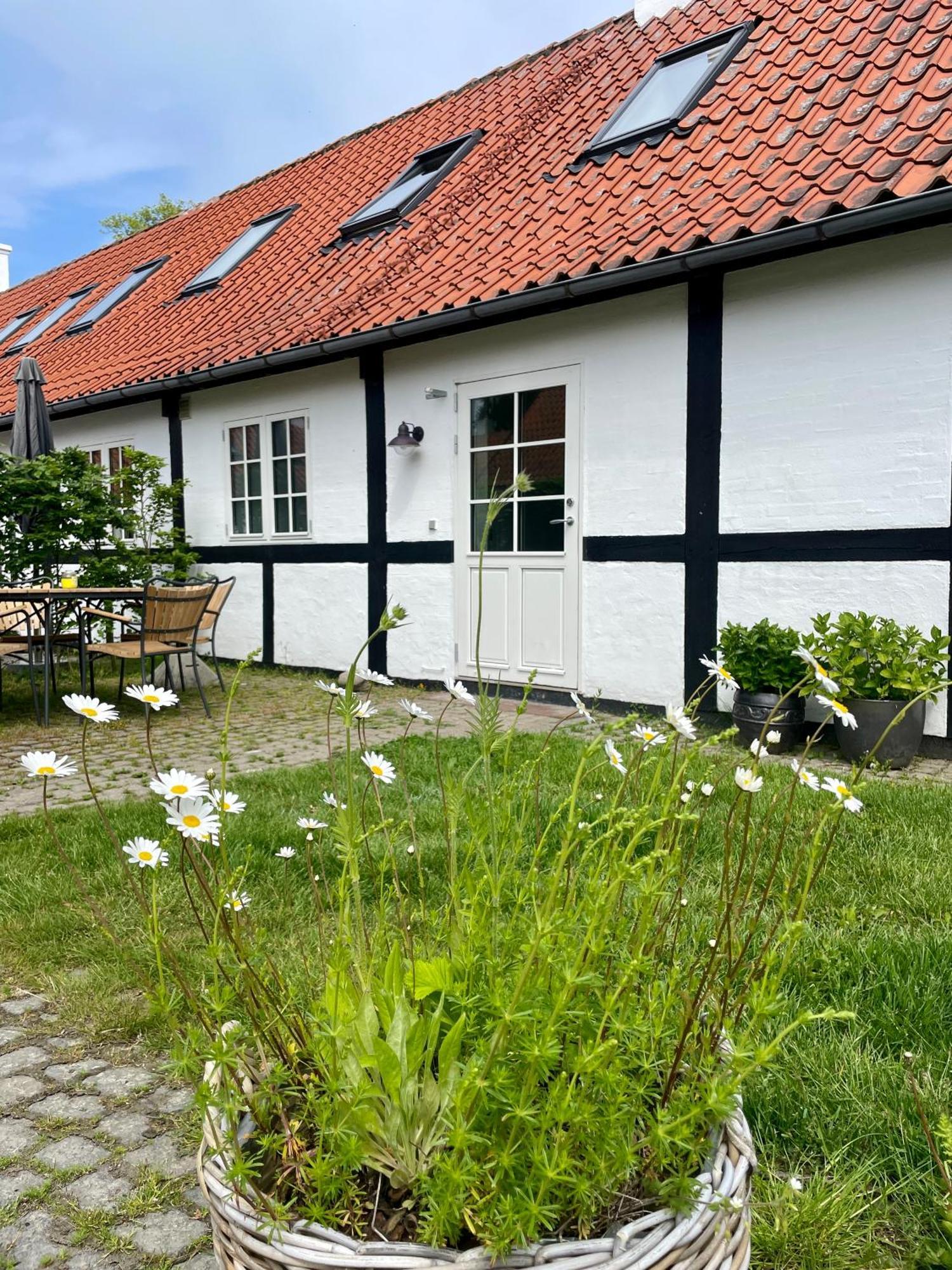 Sjaelegard Countryside Lodge 阿灵厄 外观 照片